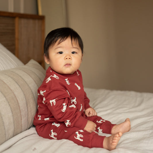 2-delige baby set met sweater en joggingbroek – Rosewood
