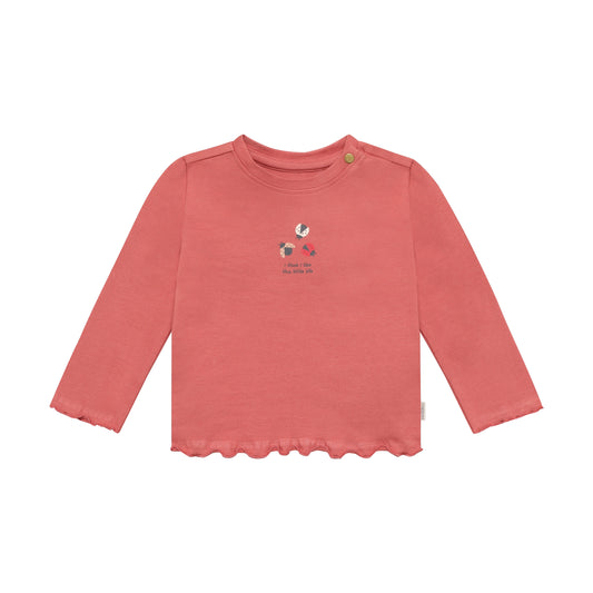 Baby shirt met lieveheersbeestje – Dusty Cedar