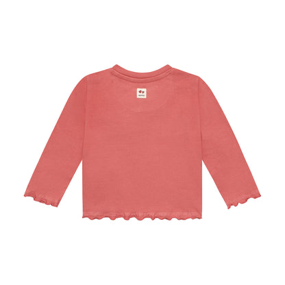 Baby shirt met lieveheersbeestje – Dusty Cedar