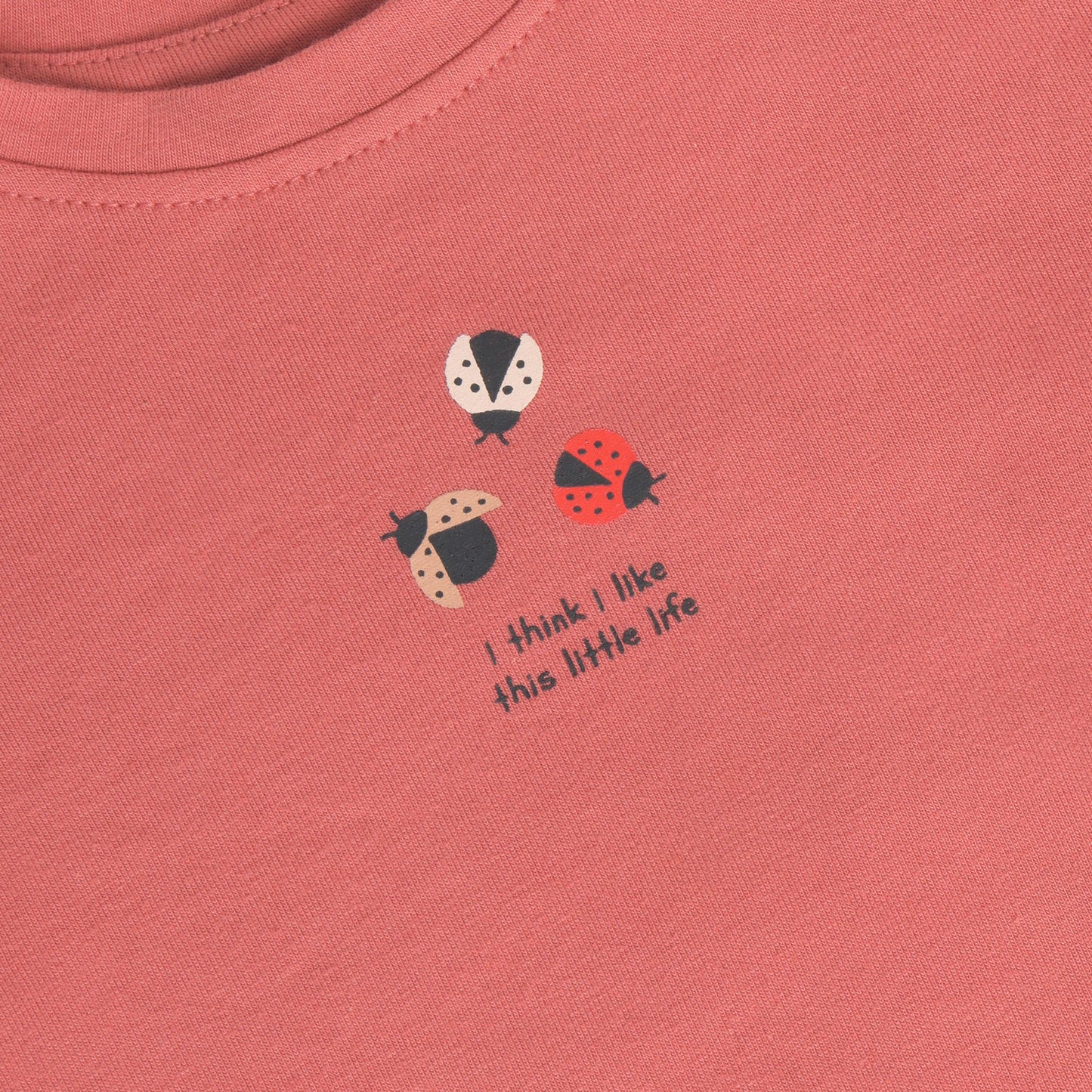 Baby shirt met lieveheersbeestje – Dusty Cedar