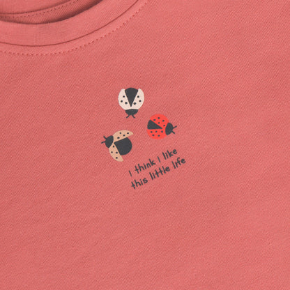 Baby shirt met lieveheersbeestje – Dusty Cedar