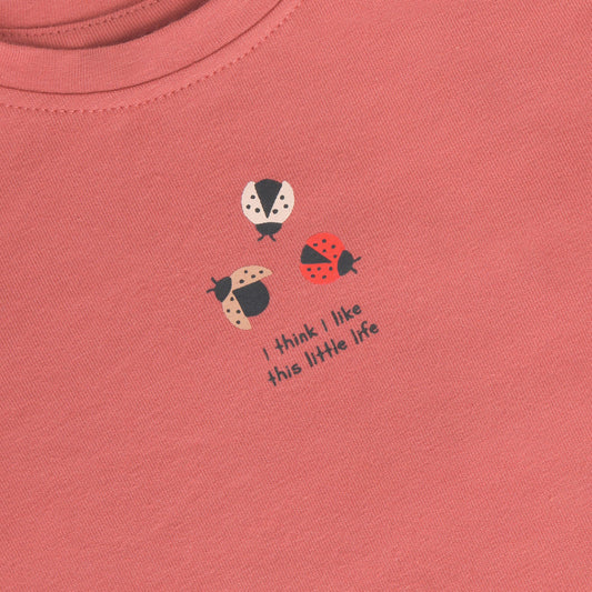 Baby shirt met lieveheersbeestje – Dusty Cedar
